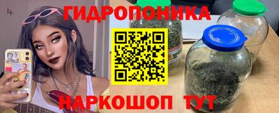 гидропоника Камышлов