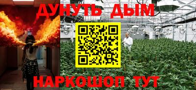 гидропоника Камышлов